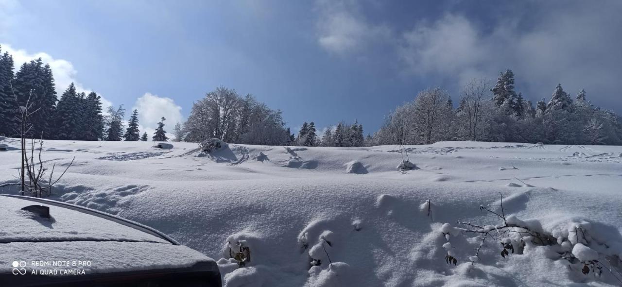 Chata Z Widokiem Na Babia Gore Pewel Wielka Exterior photo